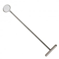 Dental Mirror