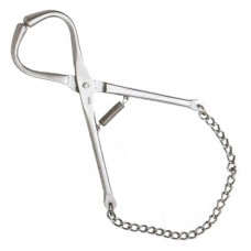 Bull Lead with Chain